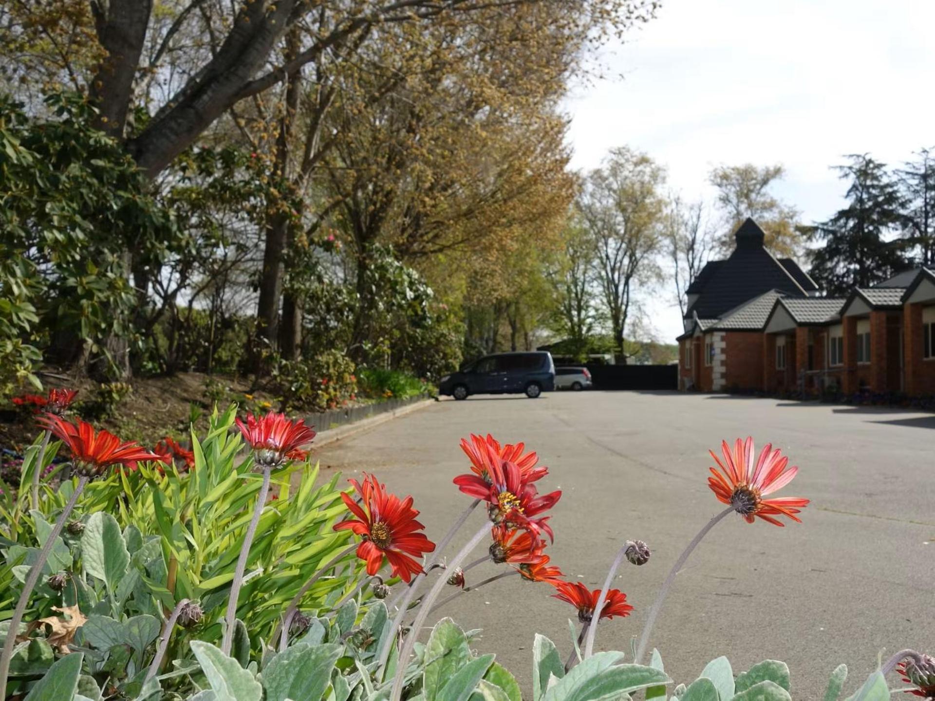 Northwood Motor Lodge Christchurch Dış mekan fotoğraf