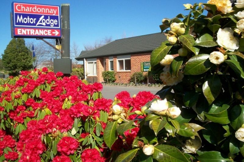 Northwood Motor Lodge Christchurch Dış mekan fotoğraf